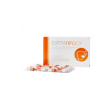 Супрапрост